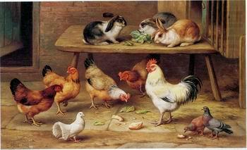 unknow artist Cocks and rabbits 130 china oil painting image